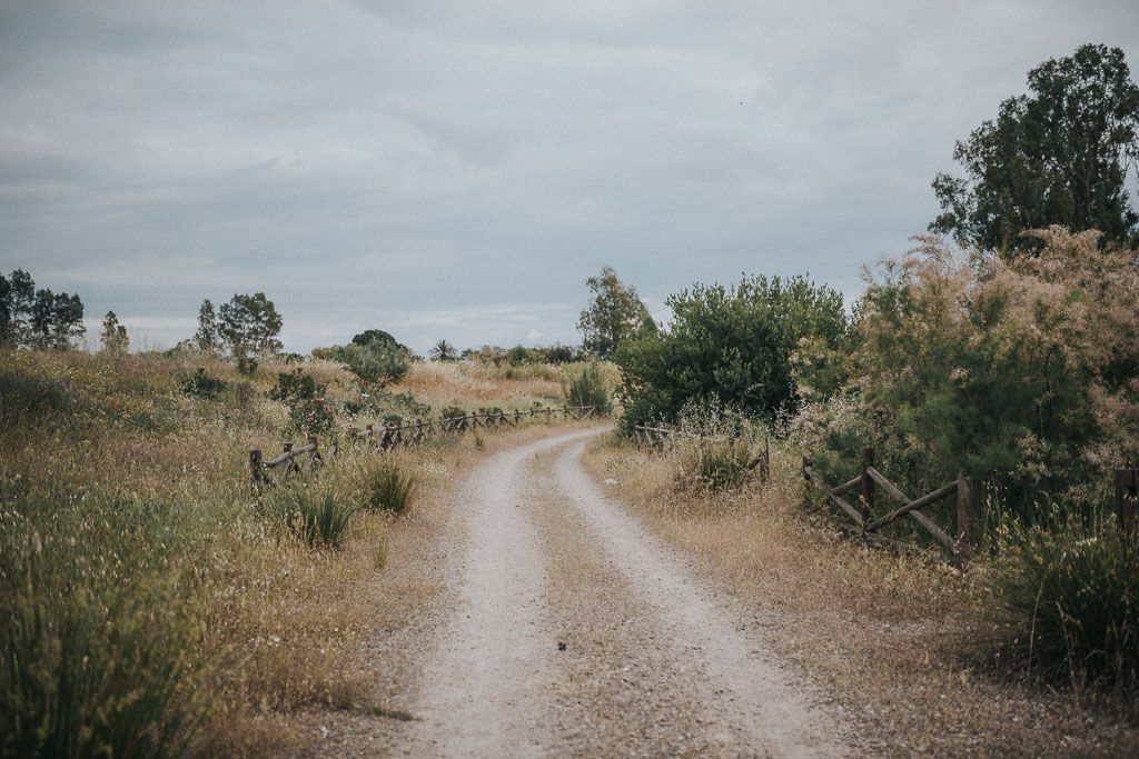 campiña de cordoba